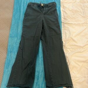 Marine layer wide leg green trouser pants